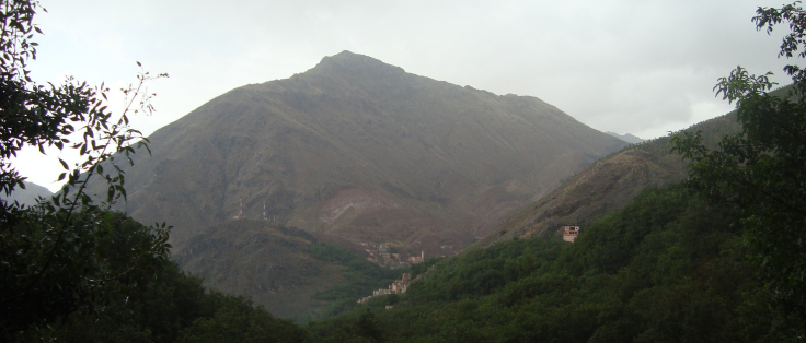 DSC04410